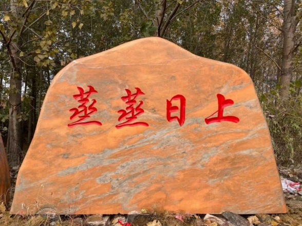 武汉景观石公司